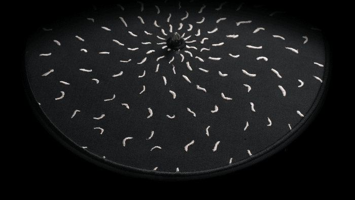 ‘Wriggling’ — Embroidered Zoetrope